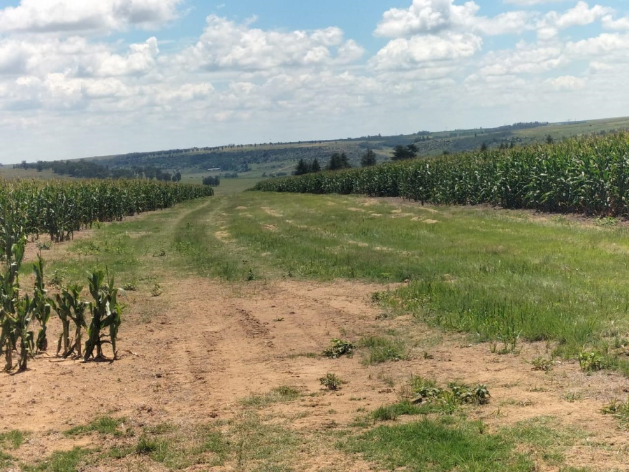 2 Bedroom Property for Sale in Bethlehem Rural Free State